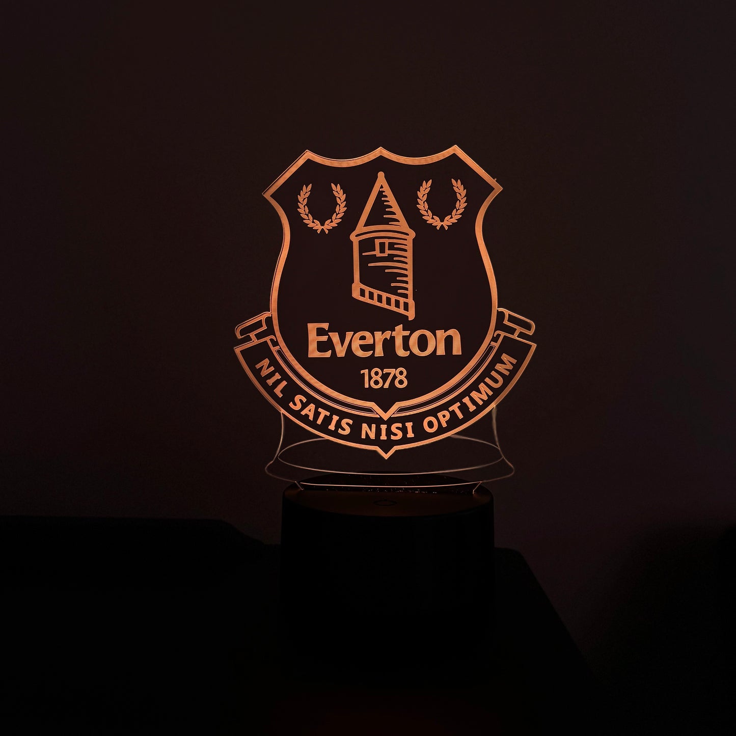 Everton FC LED Lamp